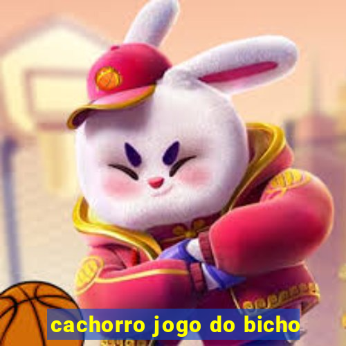 cachorro jogo do bicho